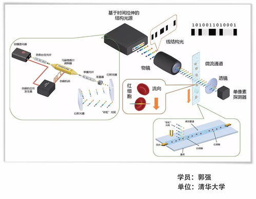 提升科研视觉表现力 SCI论文配图、科技绘图与计算机软硬件的融合开发专题培训